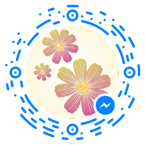 Facebook Messenger Code